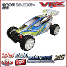 1/5 carro do gás Powered RTR Buggy, 2WD Nitro Buggy, grande escala modelo rc